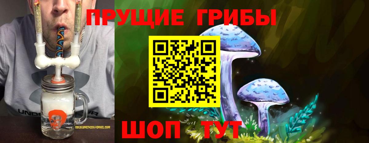 Тверь  продажа наркотиков  Вход с VPN  Псилоцибиновые грибы GOLDEN TEACHER 