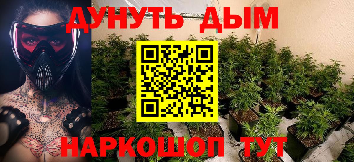 Конопля сатива  Вход с VPN  Бошки марихуана марихуана  Тверь 